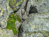 Besseggen, Jotunheimen National Park